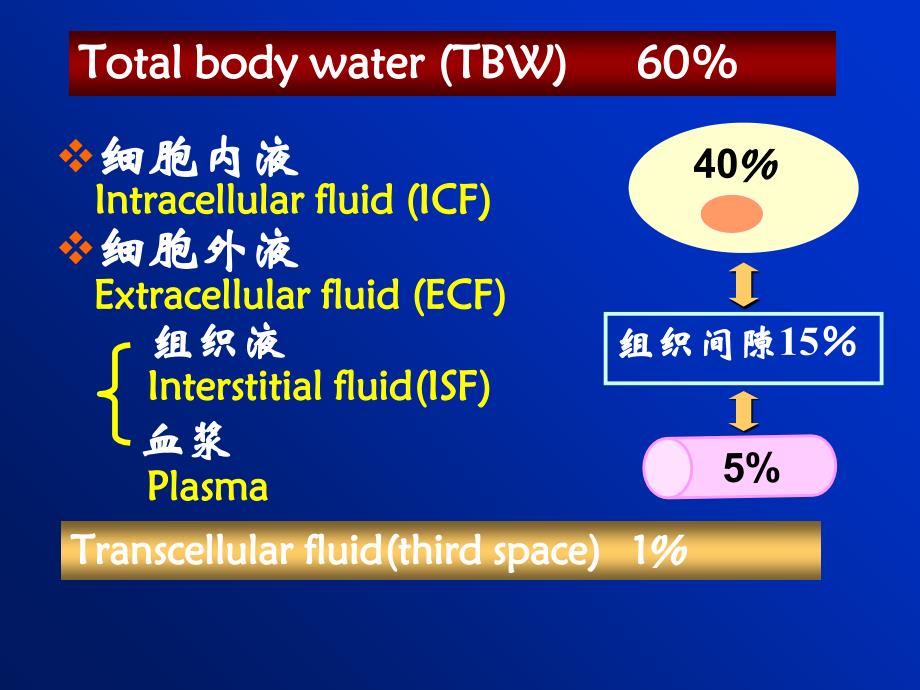 病理生理学水电解质代谢紊乱1_第4页