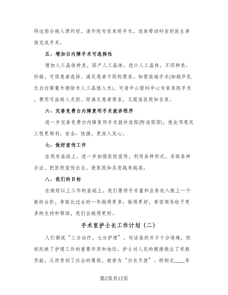 手术室护士长工作计划（四篇）.doc_第2页