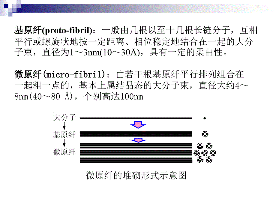 纤维的结构特征电子教案_第4页