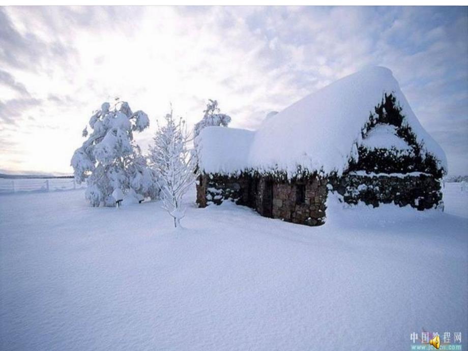 一年级语文上册 雪地里的小画家课件2 鲁教版_第1页