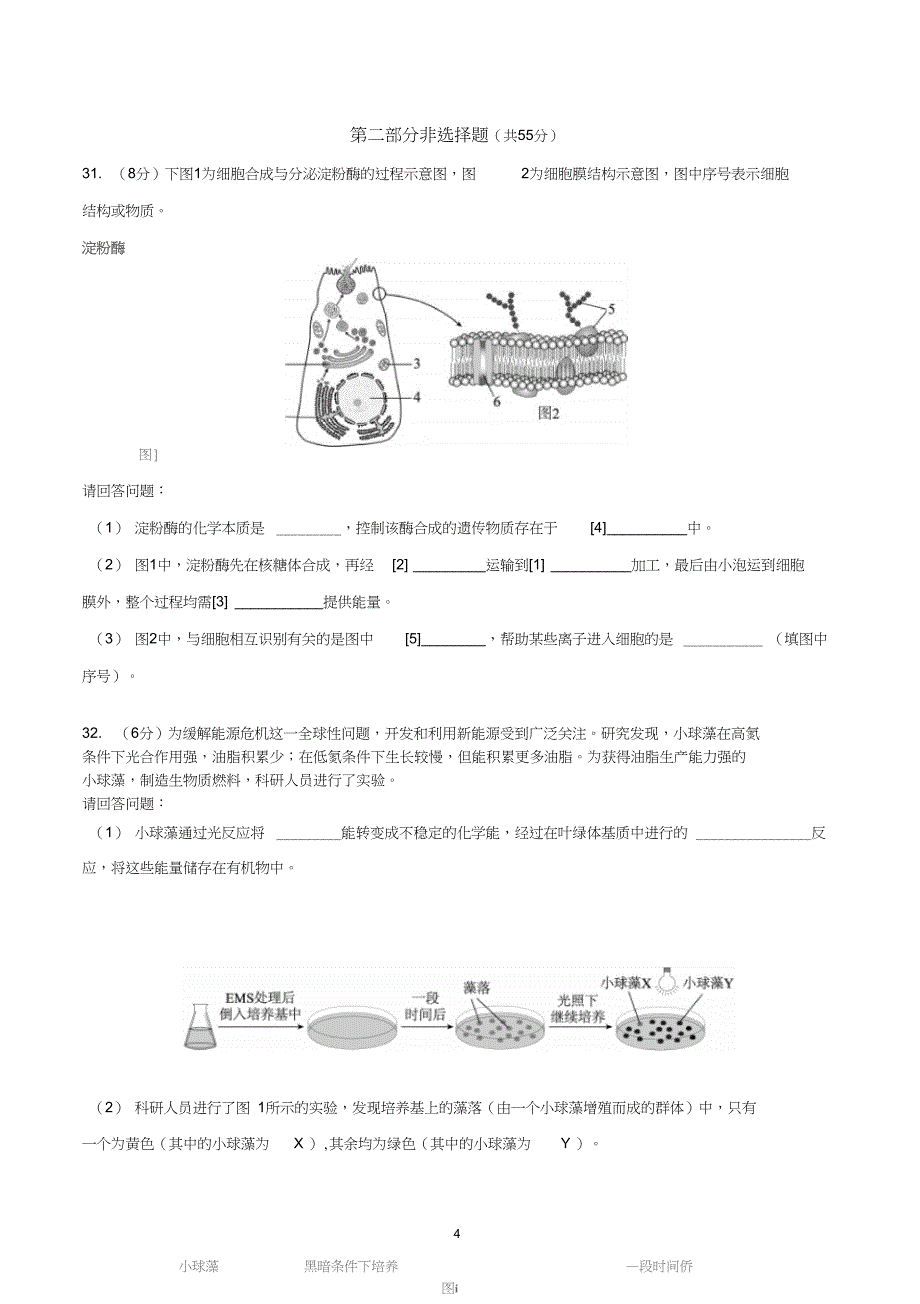 北京市普通高中学业水平考试试题合格性考试试题生物试卷题_第4页