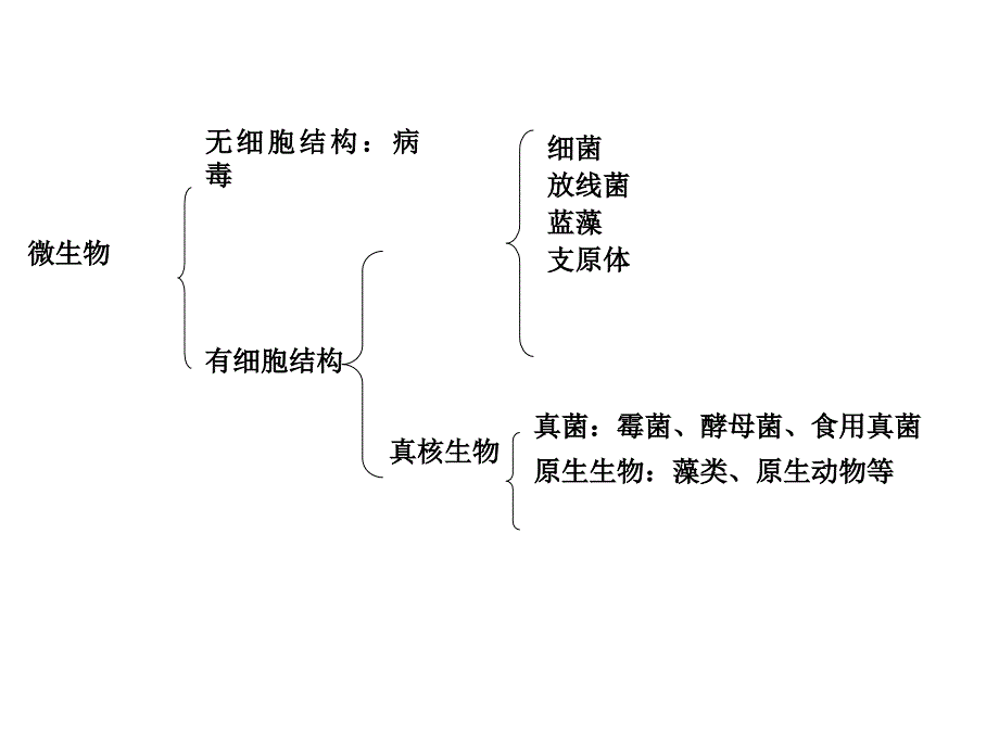 微生物与发酵工程2_第3页