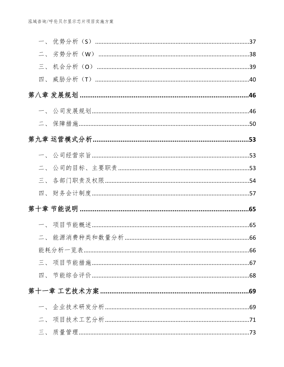 呼伦贝尔显示芯片项目实施方案（范文）_第4页