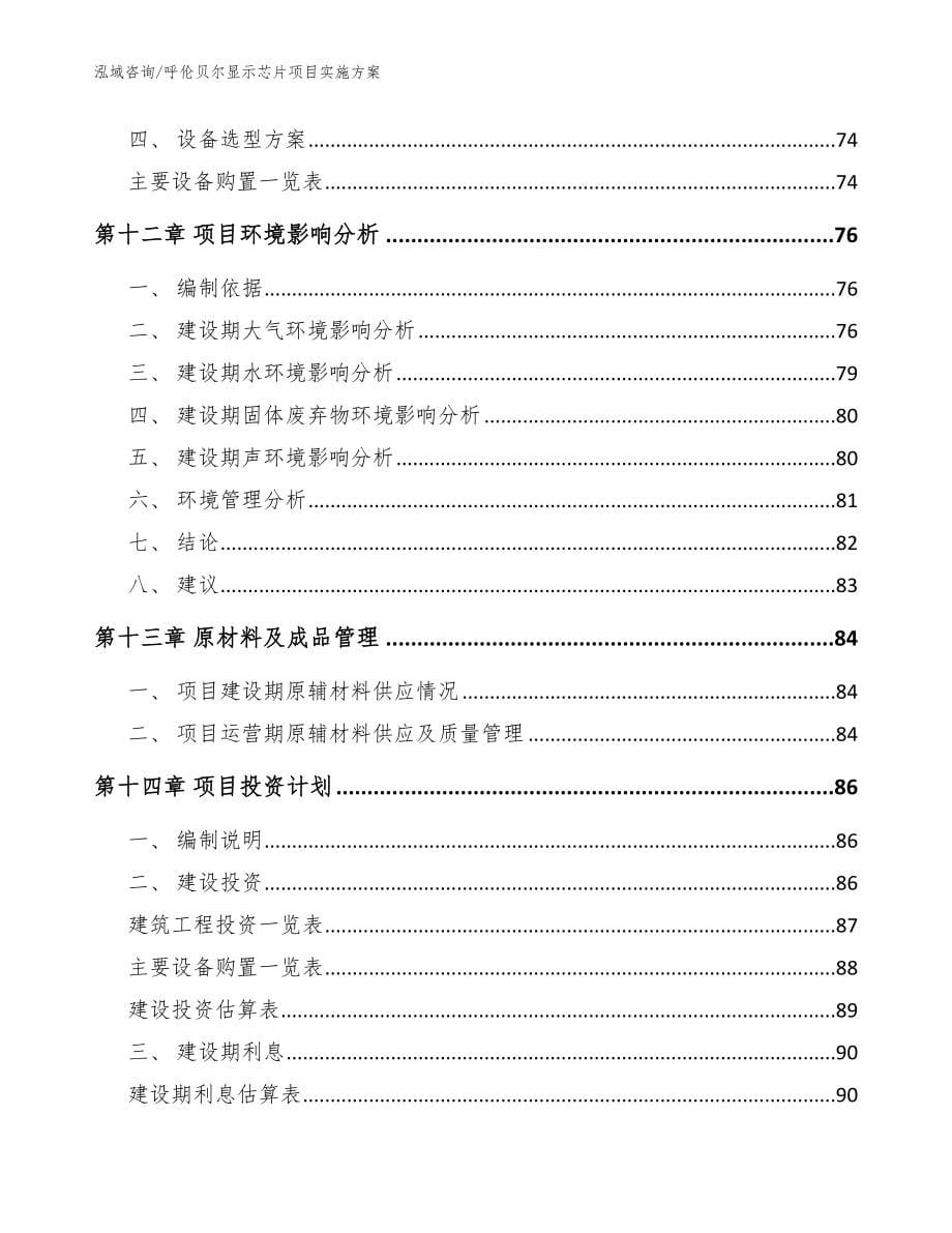 呼伦贝尔显示芯片项目实施方案（范文）_第5页