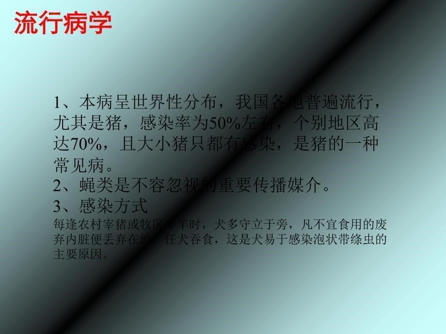 细颈囊尾蚴PPT课件_第5页