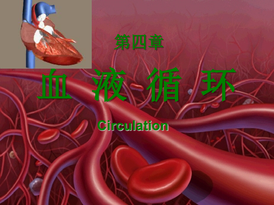 生理学：第四章 血液循环_第1页