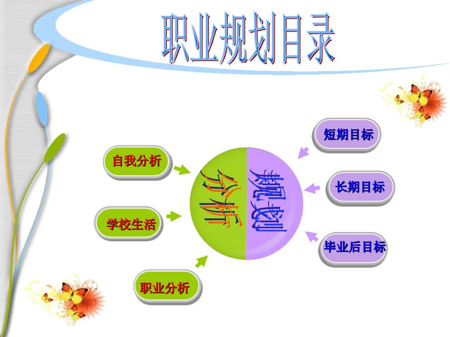 大学生电子商务职业规划_第3页