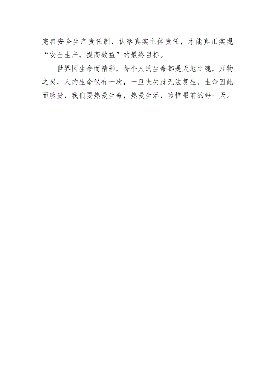 落实企业安全生产主体责任研讨发言心得体会_第3页