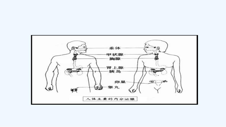 cushing综合症ppt课件_第3页