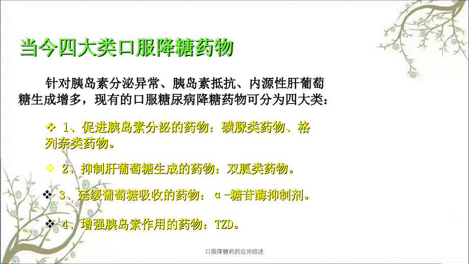 口服降糖药的应用综述课件_第4页