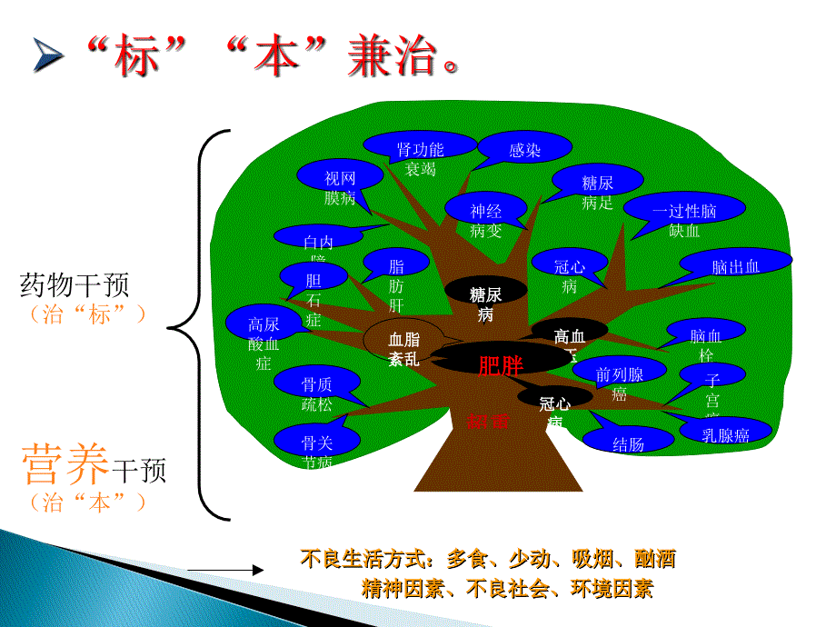 蓓盈纤产品与三高_第3页