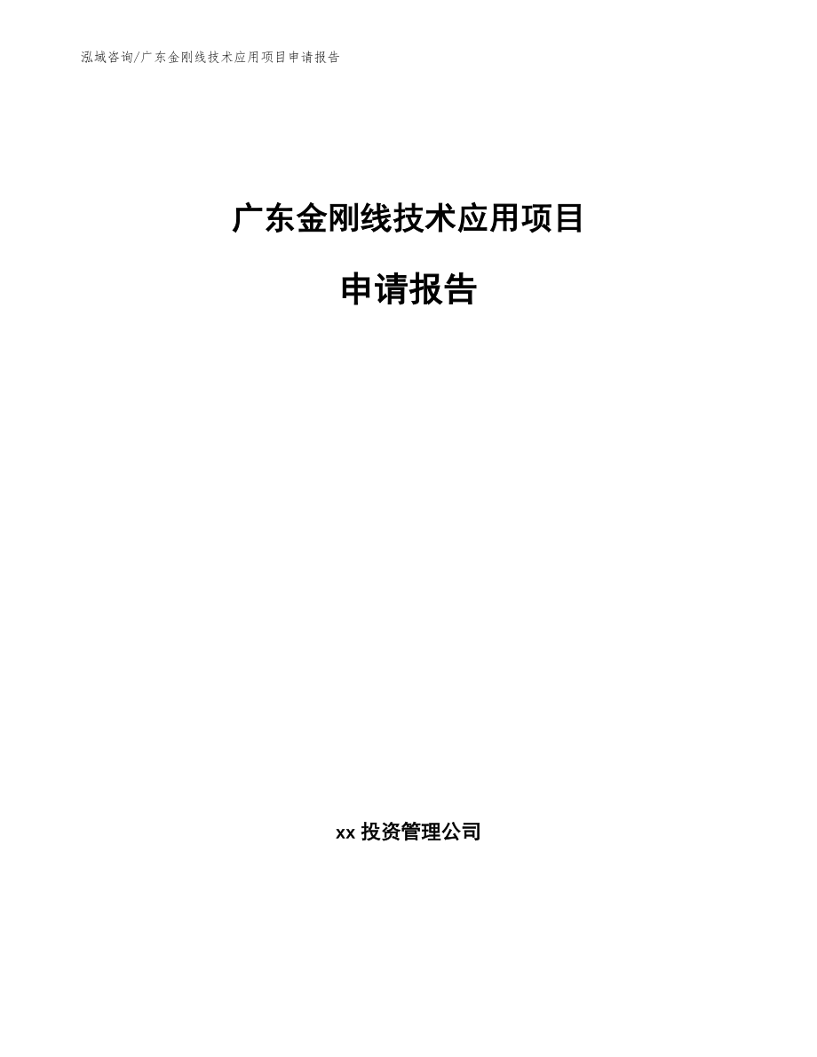 广东金刚线技术应用项目申请报告_第1页