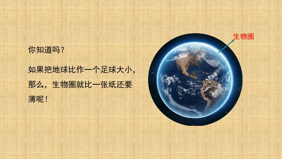 初中七年级生物上册123生物圈是最大的生态系统名师优质课件新版新人教版_第3页