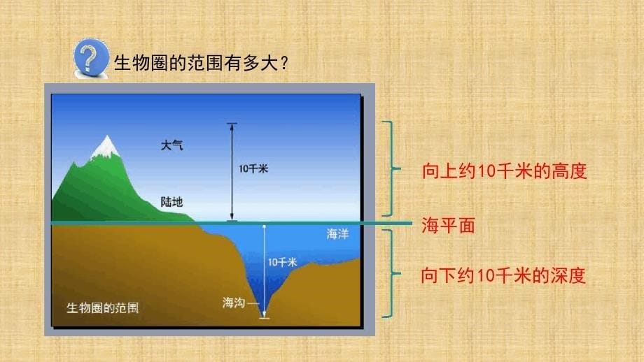 初中七年级生物上册123生物圈是最大的生态系统名师优质课件新版新人教版_第5页