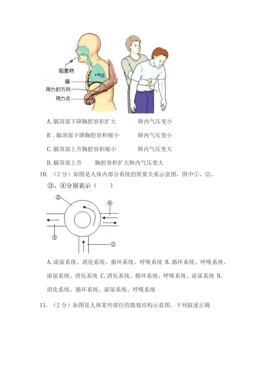 2022年湖北省宜昌市中考生物试卷解析版_第4页