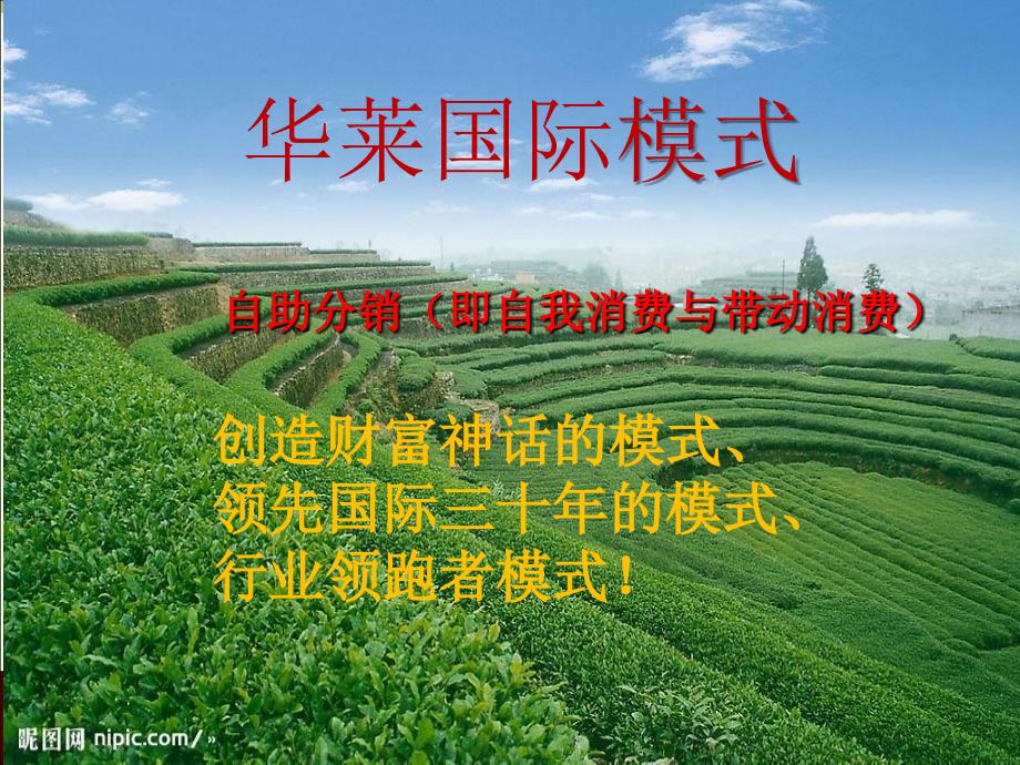 市场计划含组织奖金_第1页