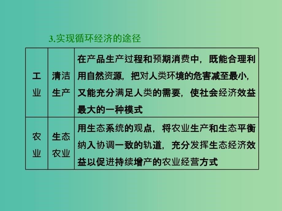 高中地理第二单元走可持续发展之路小专题大智慧中国实施可持续发展的重要途径--发展循环经济课件鲁教版.ppt_第5页