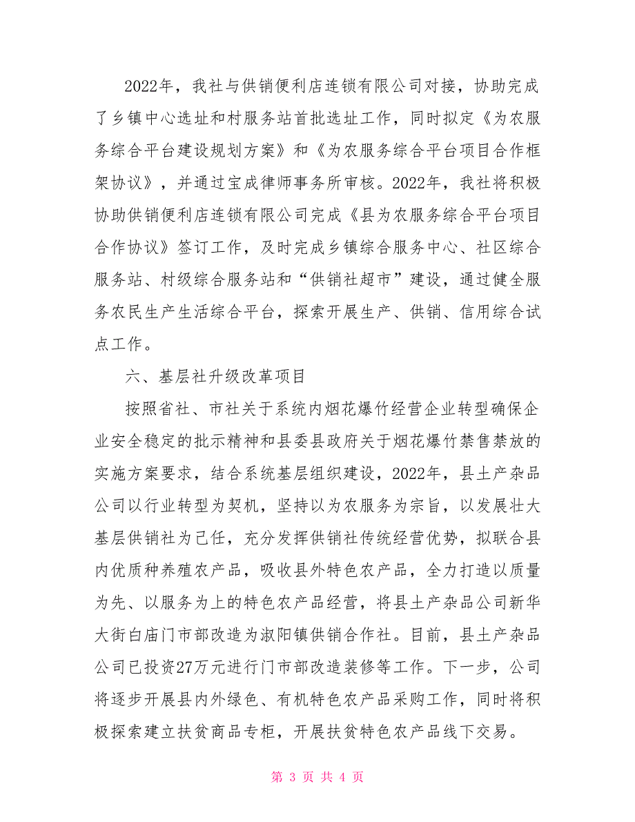 供销社重点工作总结及下一步工作计划_第3页