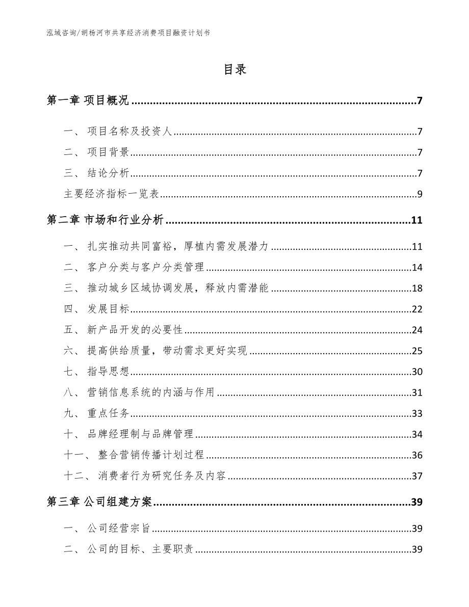 胡杨河市共享经济消费项目融资计划书_第2页