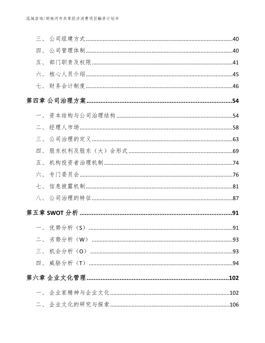 胡杨河市共享经济消费项目融资计划书_第3页