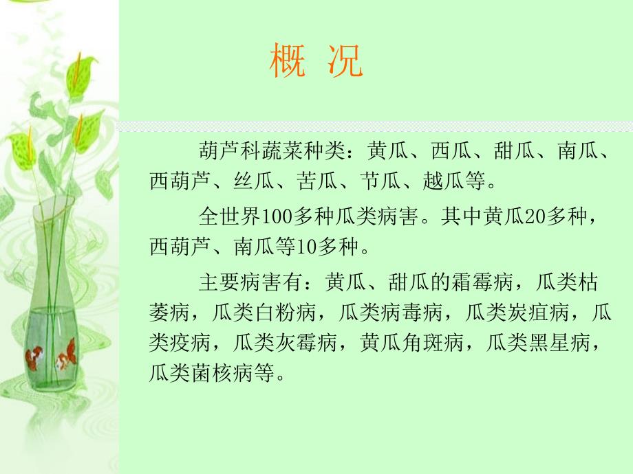 第三章葫芦科蔬菜病害_第2页