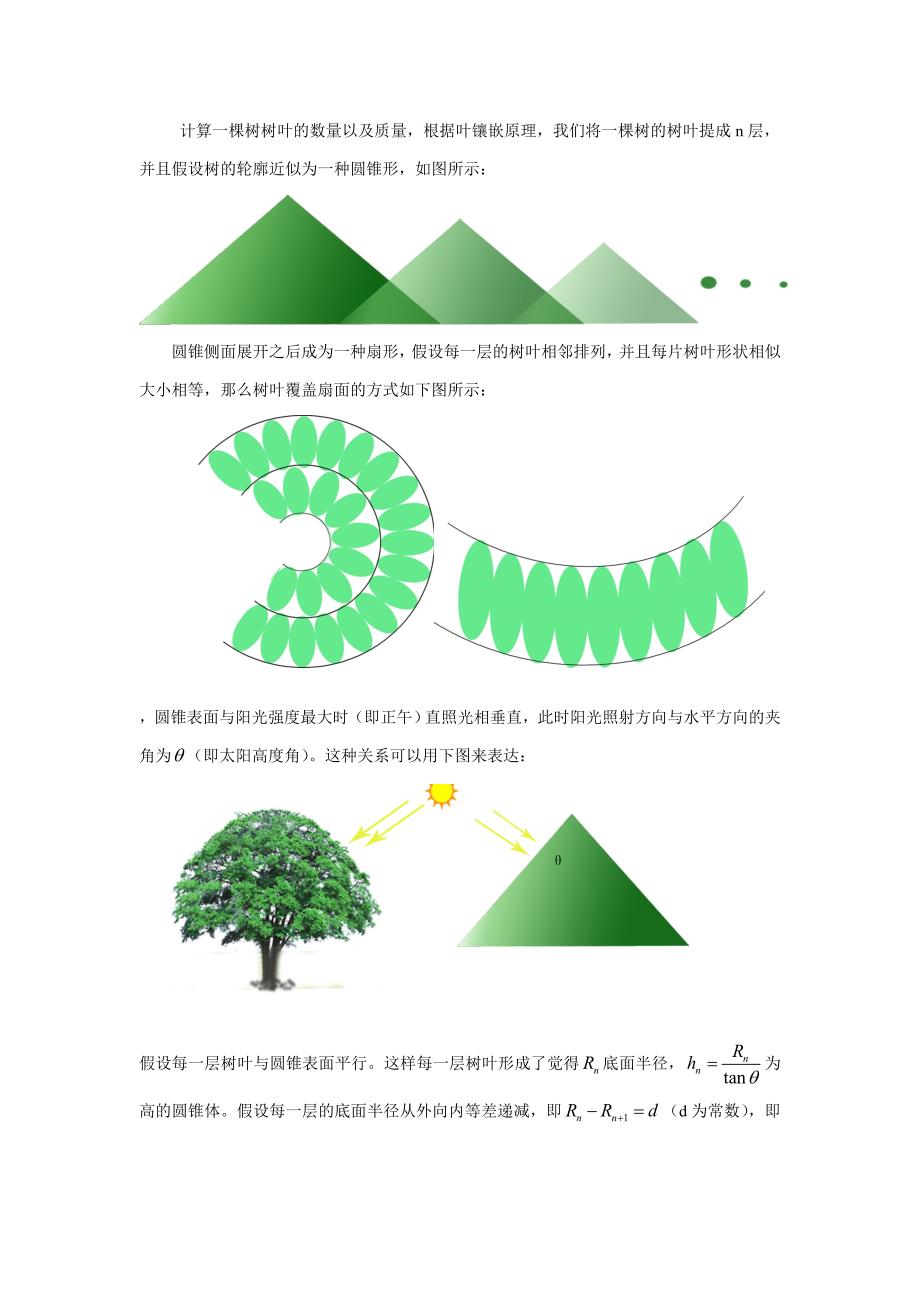 计算一棵树树叶的数量以及质量_第1页