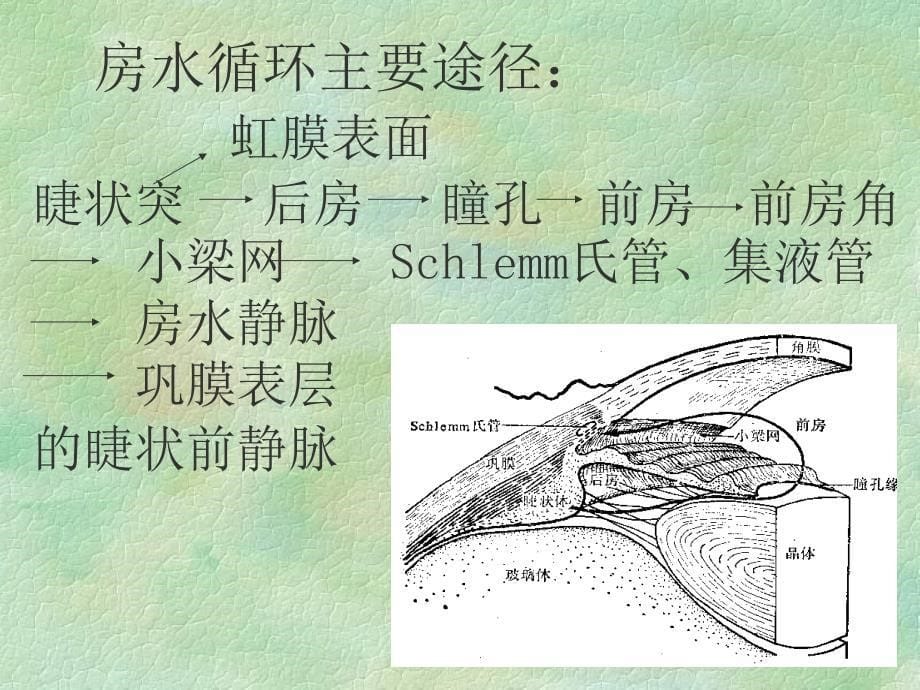 中医眼科学青光眼_第5页