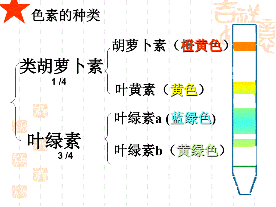 光合作用文科课件_第2页