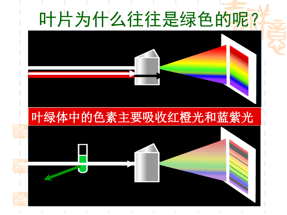 光合作用文科课件_第3页