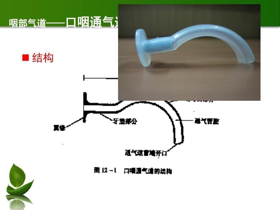 人工气道的种类及其固定_第5页