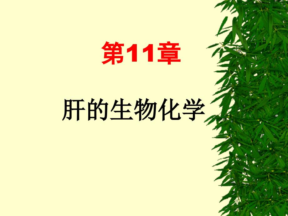 专科生物化学肝的生物化学ppt课件_第1页