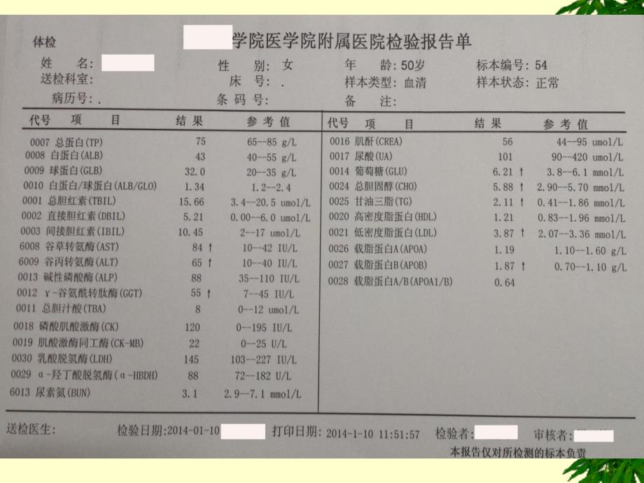 专科生物化学肝的生物化学ppt课件_第4页