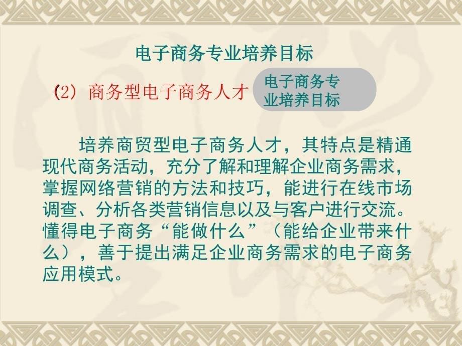 电子商务专业ppt课件_第5页