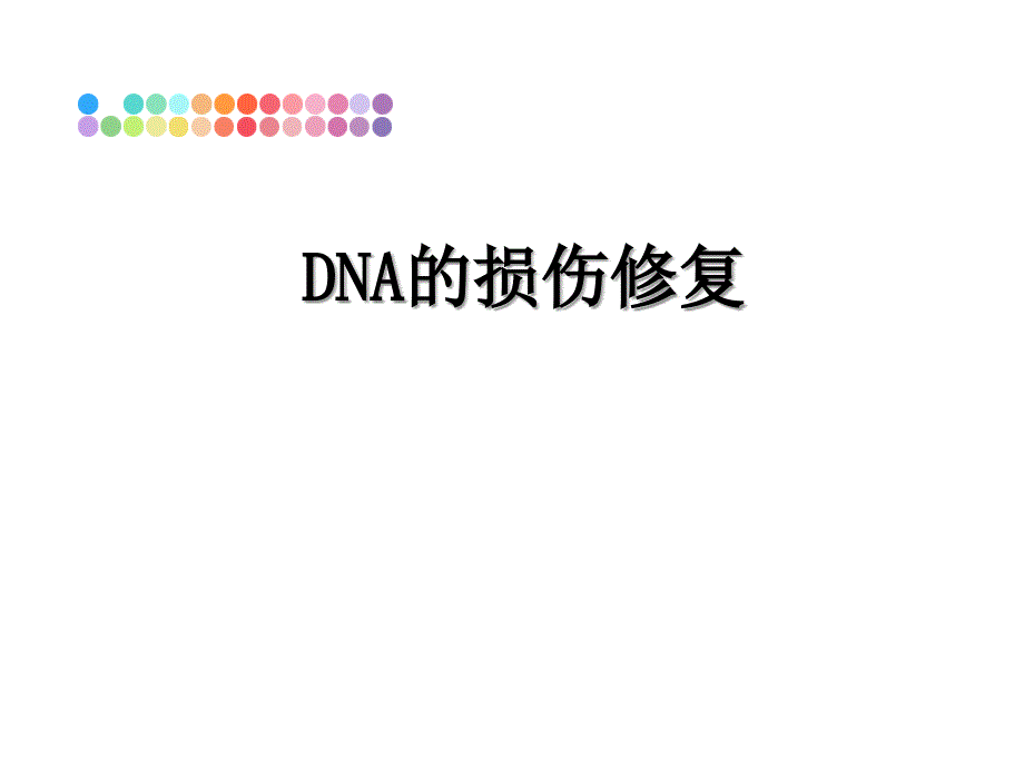 DNA的损伤修复ppt课件_第1页