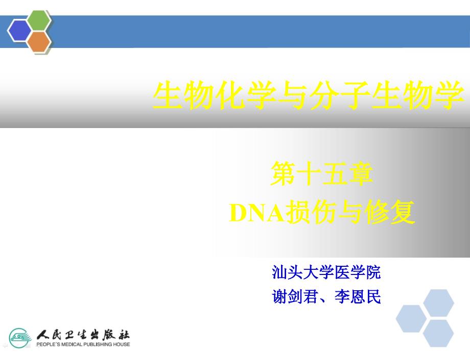 DNA的损伤修复ppt课件_第2页