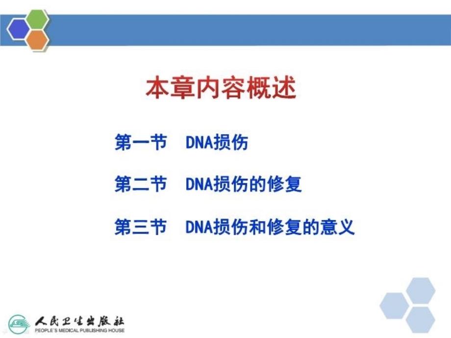 DNA的损伤修复ppt课件_第3页