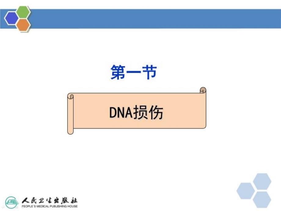 DNA的损伤修复ppt课件_第4页