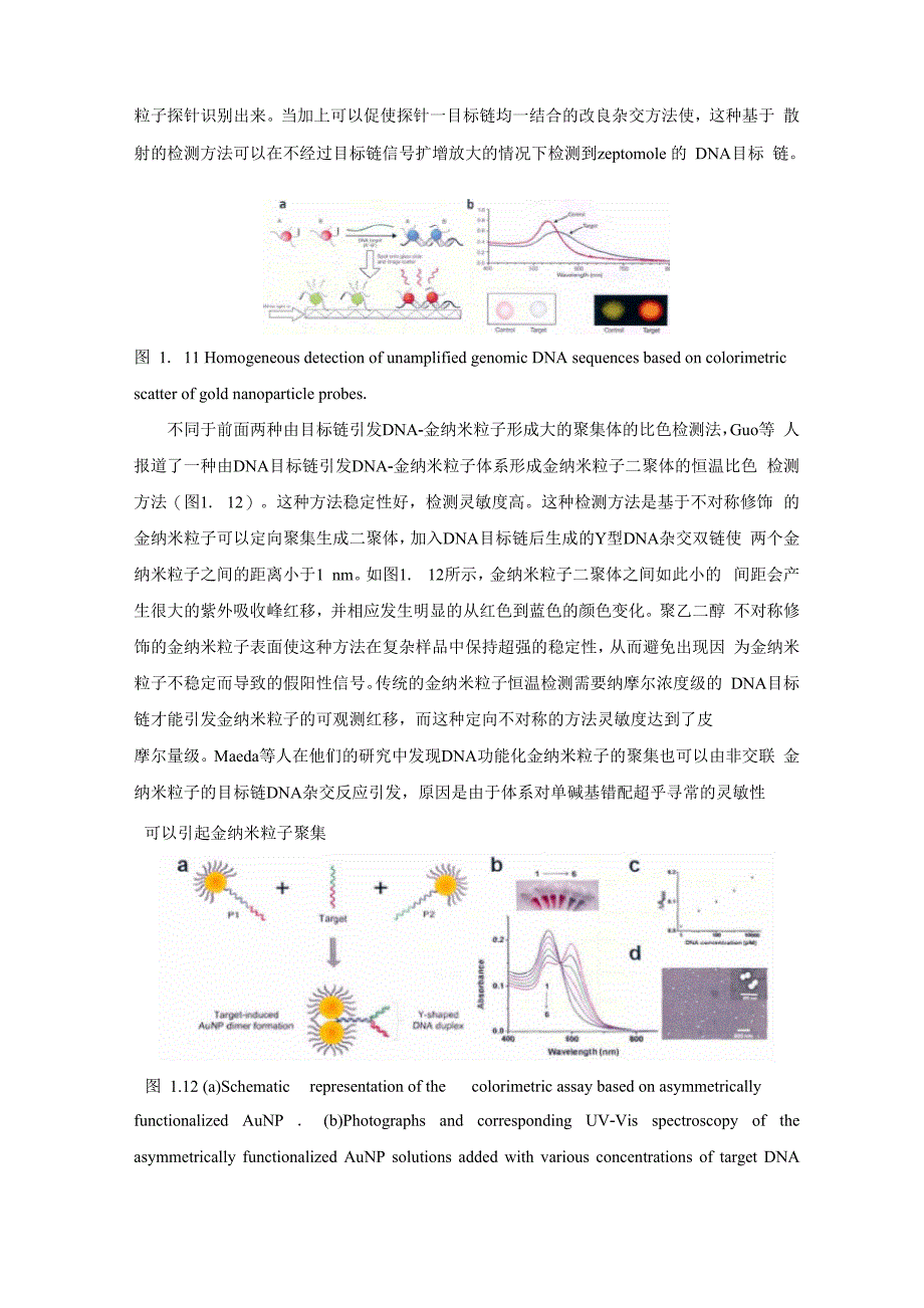 141 DNA功能化的金纳米粒子及其应用_第3页