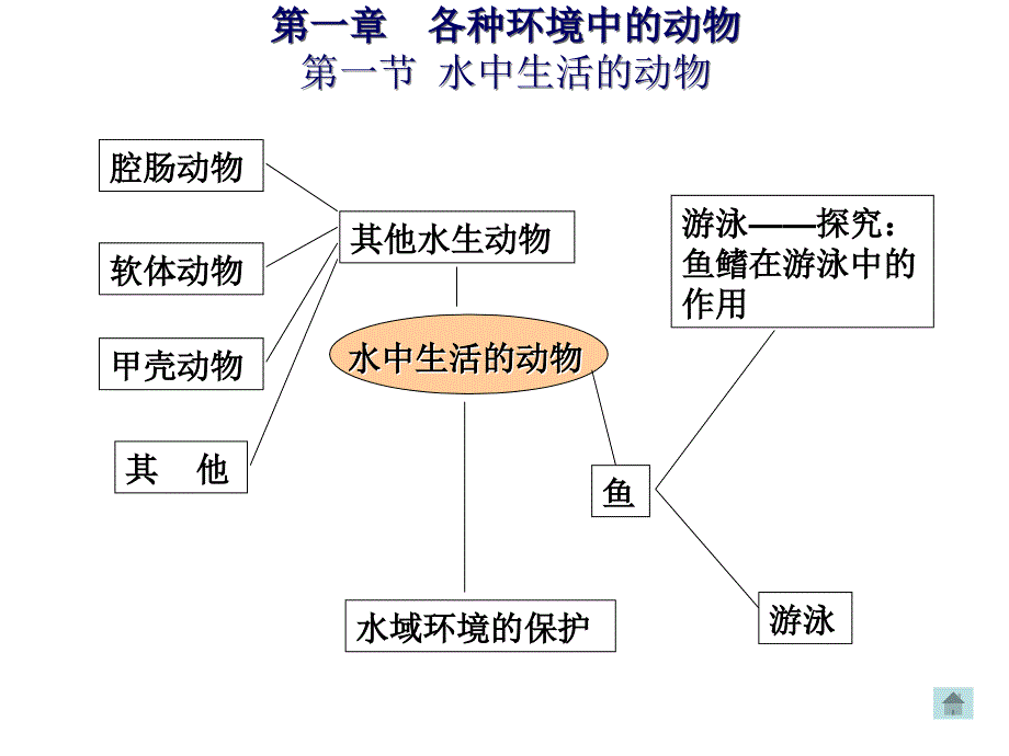 生物八年级总复习上册_第2页