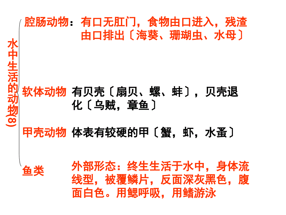 生物八年级总复习上册_第3页