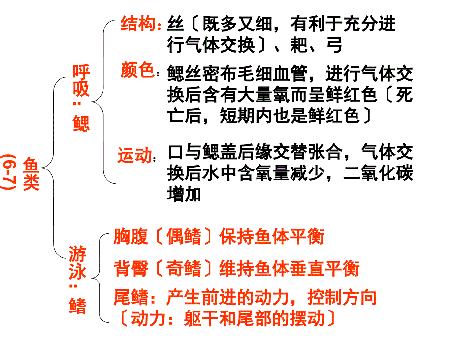 生物八年级总复习上册_第4页