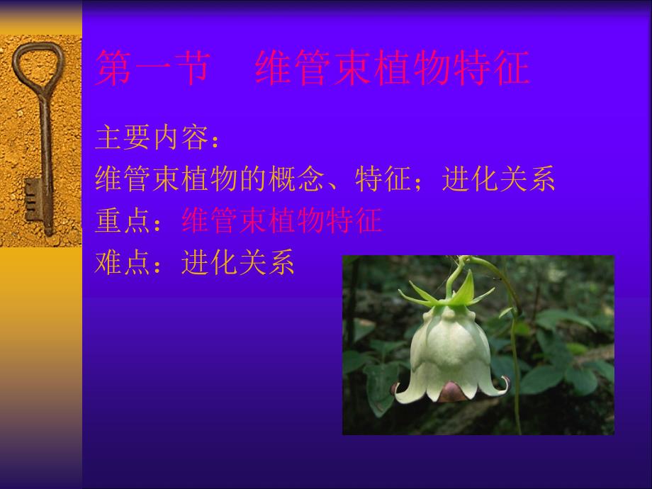 植物学教学课件：第五章 蕨类植物Pteridophyta_第2页