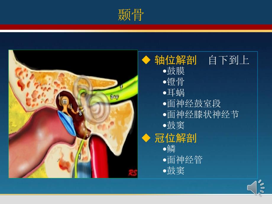 颞骨翻译马国林整理中文ppt课件_第4页