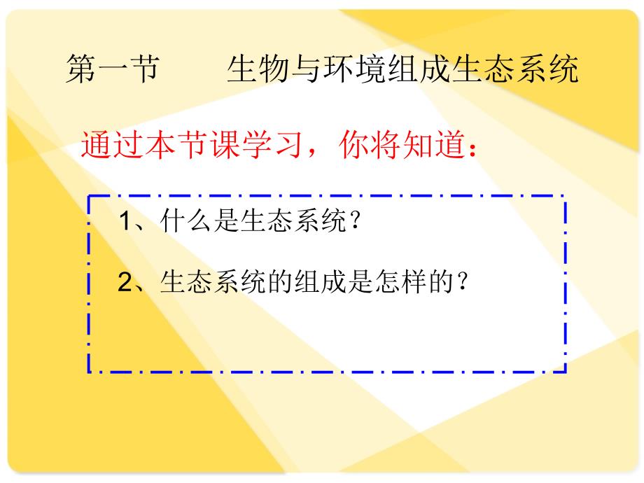 生态系统的概念和组成课件_第2页