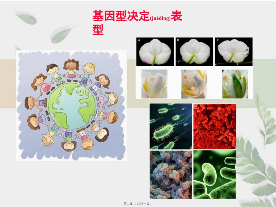 医学专题—染色质免疫沉淀21707_第2页