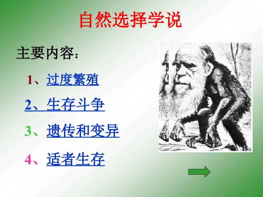 医学课件第七章生物的进化_第4页