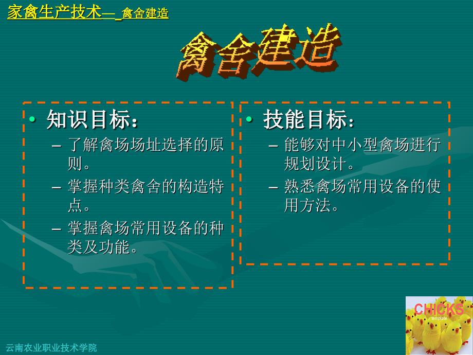 家禽生产技术肉鸡养殖场建造_第1页