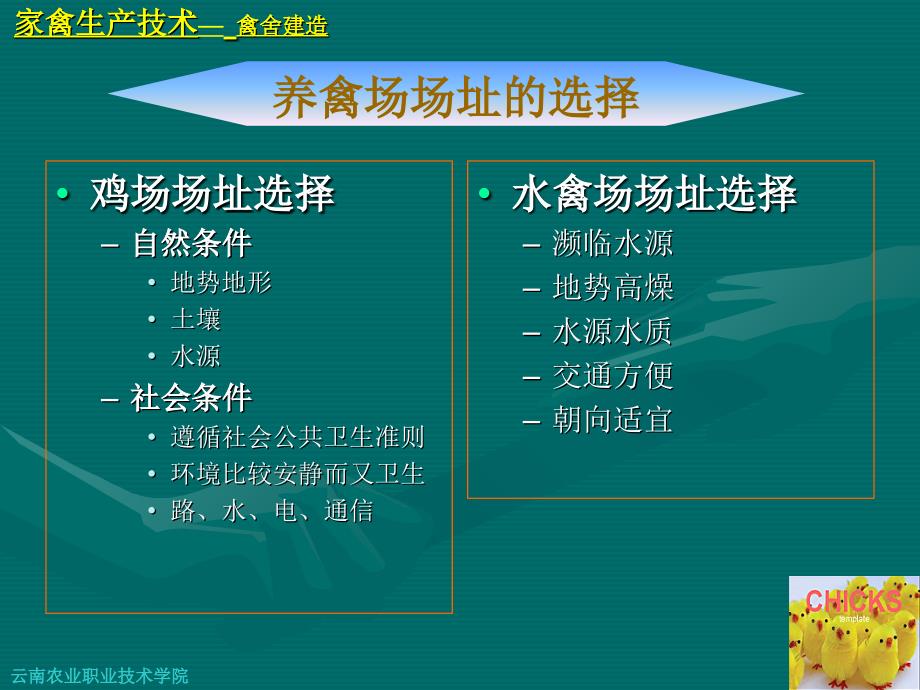 家禽生产技术肉鸡养殖场建造_第3页