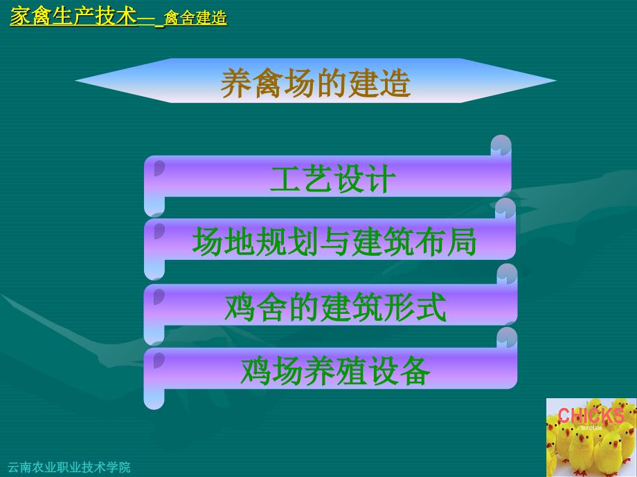 家禽生产技术肉鸡养殖场建造_第4页