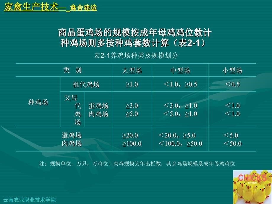 家禽生产技术肉鸡养殖场建造_第5页